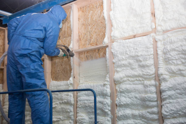 Eco-Friendly Insulation Solutions